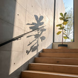 Modern wooden staircase steps next to a concrete wall with a black metal handrail, featuring a large cast shadow of a fiddle-leaf fig plant on the wall and a potted plant near a tall window. - FLOAT concrete